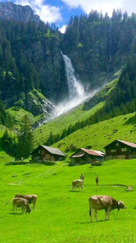 Beautiful Nature image