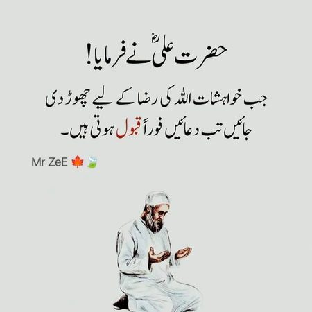 Islamic Quotes image