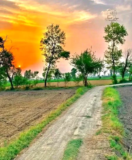 Beautiful Nature image