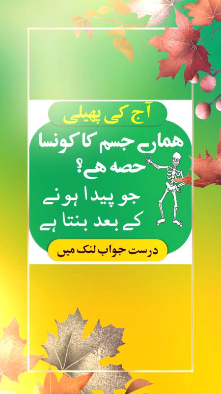Riddles & Puzzles image