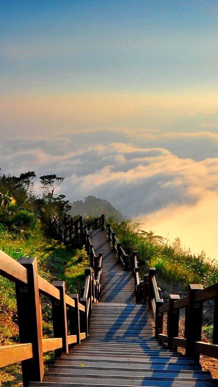 Beautiful Nature image