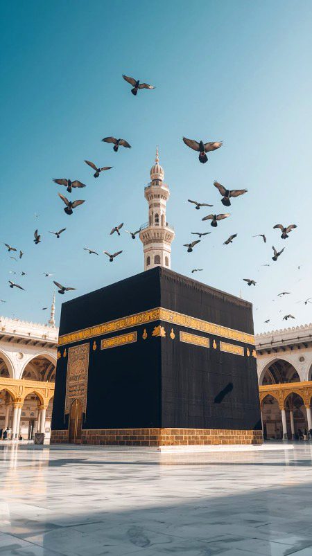 Beautiful Structures image