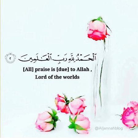 ایک اچھی زندگی وہ ہوتی ہے جس میں اللّٰـــــہ سبحانہ وتعالی کی عطا کردہ نعمتوں کی قــدر اور شکر گزاری ہو....!!♡︎
جس میں مسکراہٹیں زیادہ ہوں....!!☺︎︎
خواب بڑے ہوں اور کوشش بھرپور ہو....!!❥︎