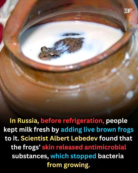 Interesting Posts image