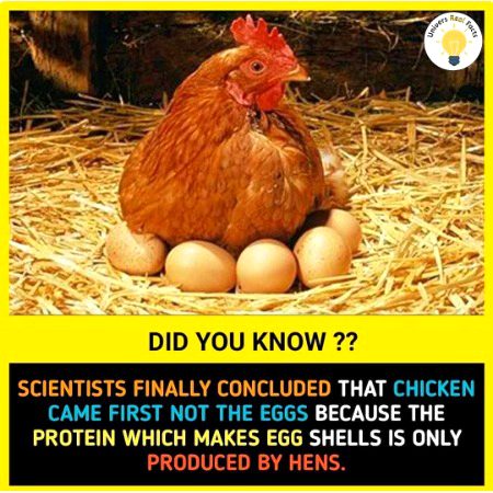 Interesting Posts image