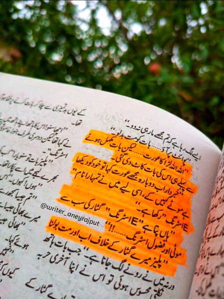 Romantic Novels image