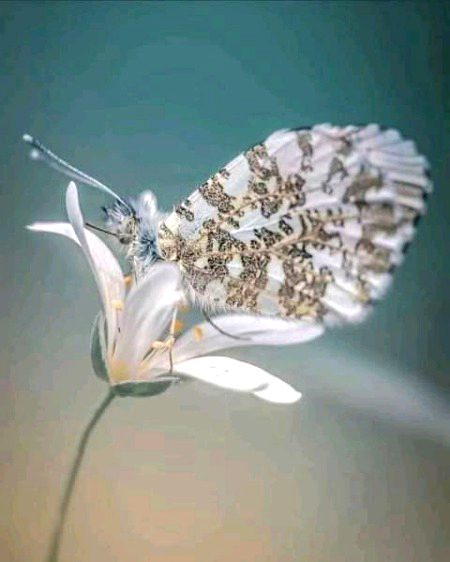 Beautiful Nature image