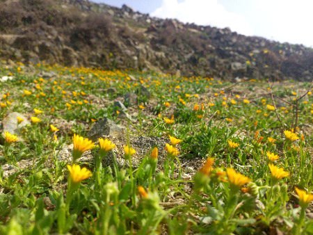 Beautiful Nature image