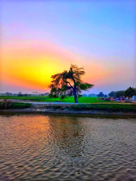 Beautiful Nature image