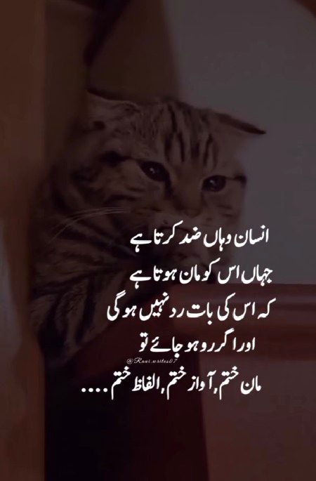 Sad Poetry image