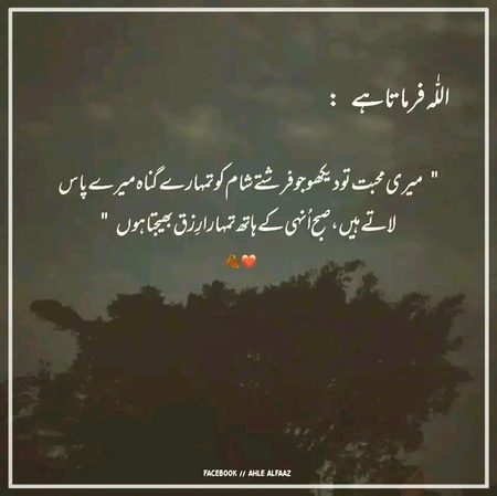 Islamic Quotes image