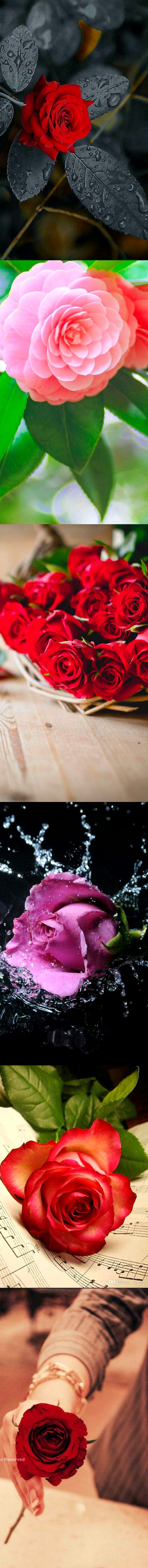 Beautiful Nature image