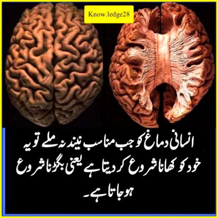 Interesting Posts image