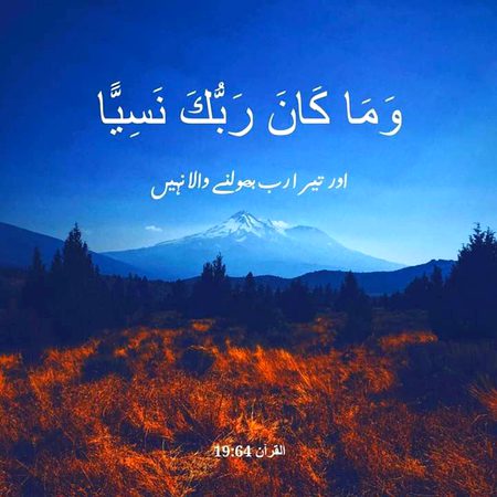 Islamic Quotes image