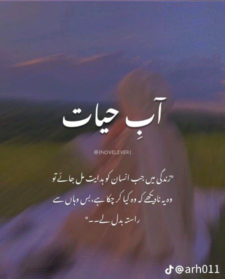 Romantic Novels image