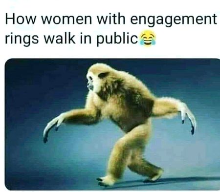 Memes & Satire image