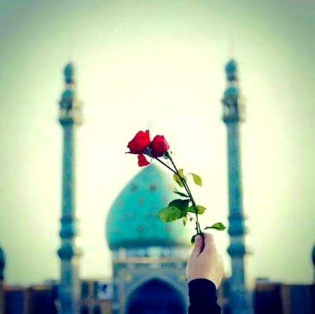 ہم تمھارے حالات سے با خبر ہیں ۔۔۔😢
 اے ابنِ امیر المؤمنینؑ ،اے میرے صاحب زماںؑ میرا دل بھی اپنی طرف کھینچ لیجئے 🙏😭💔
🌼#اللھم_عجل_لولیک_الفرج
#SanaAngel🥺🤲🏻🍂