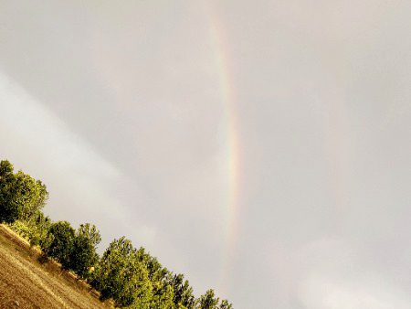 Rainbow 🌈