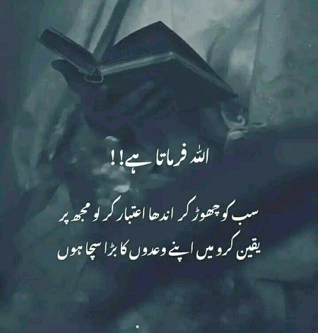 Beshak