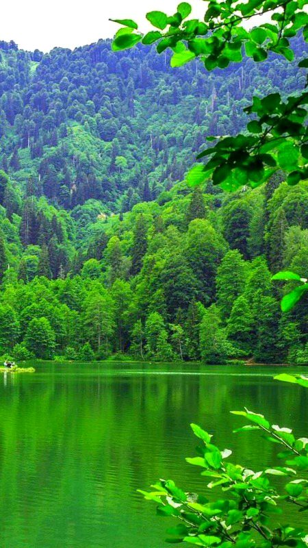 Beautiful Nature image