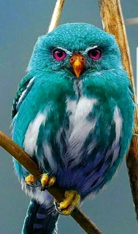 Beautiful Nature image