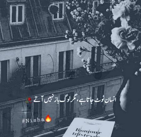Shi bat hai😕😕