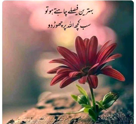 Islamic Quotes image