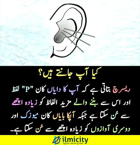 Interesting Posts image