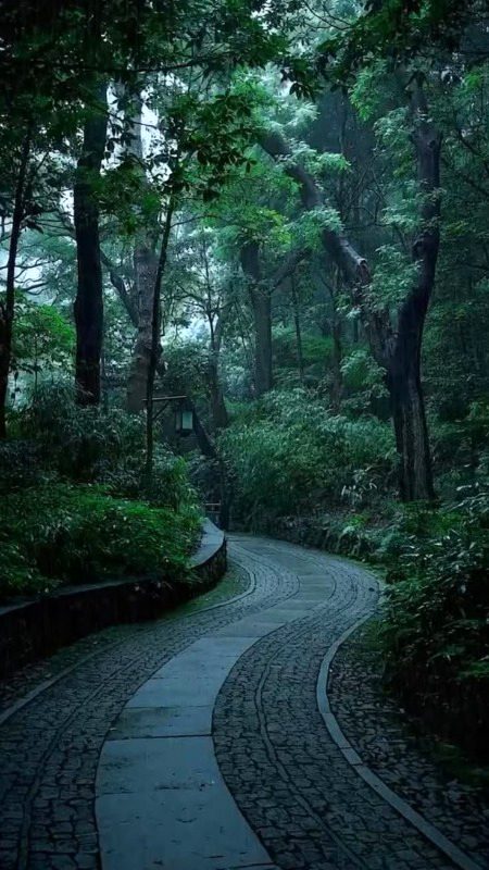 Beautiful Nature image