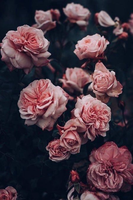 Beautiful Nature image