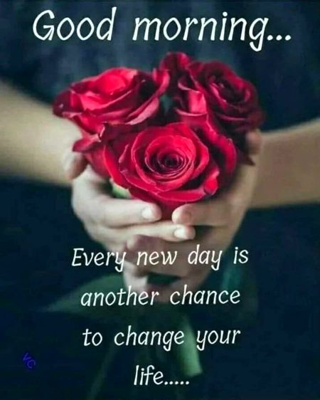 Motivational Quotes image