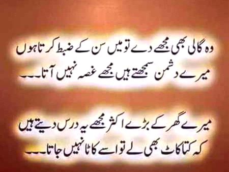 میرے دشمن سمجھتے ہیں مجھے غصہ نہیں آتا 😇😎⁦♣️