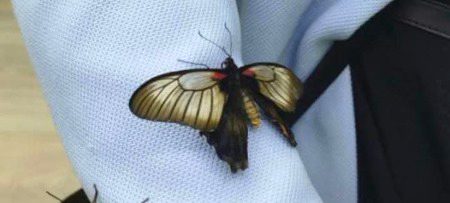 جہالت ایک گہری نیند کی طرح ہوتی ہے جس میں روشنی سے ڈر لگتا ہے اور جگانے والا برا🍁