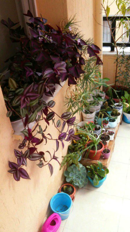 Beautiful Nature image