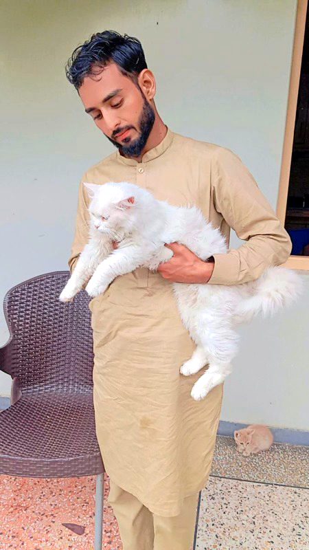 @▄︻╦芫💥💥:درویش حانہ ہمارے ماتھے پہ مور بدبحتی کی لگی ہوٸ ہے
سو ہم بن ٹھن کہ بھی ٹھکراۓ ہوۓ لگتے ہیں۔