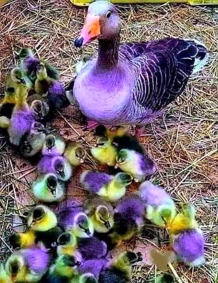 Beautiful Nature image