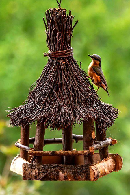 Beautiful Nature image