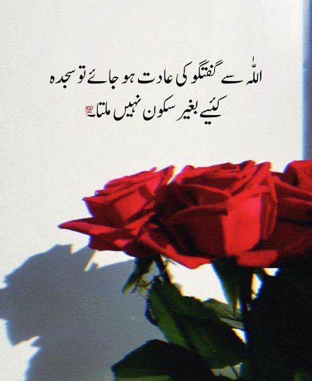 Islamic Quotes image