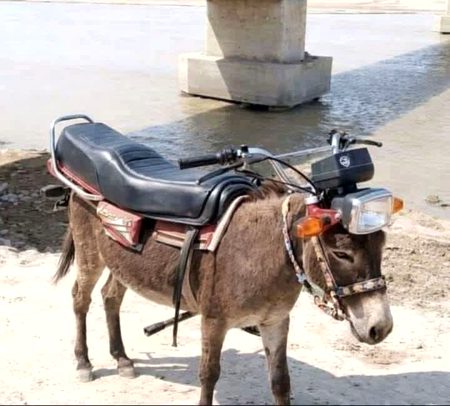 Memes & Satire image