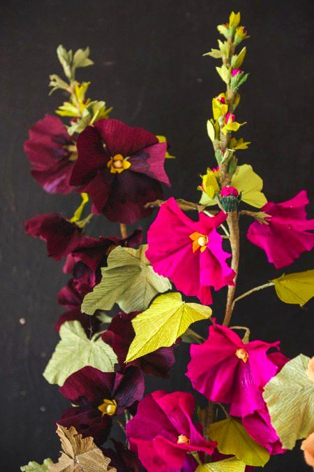 Beautiful Nature image