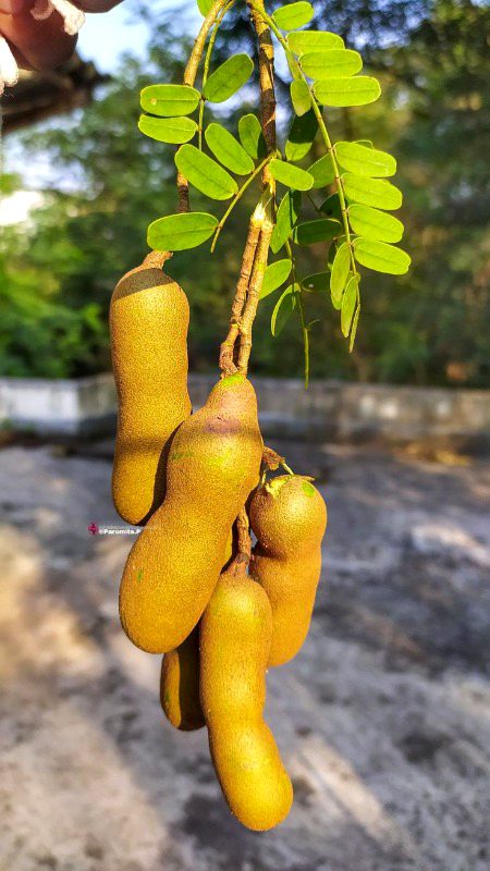 Beautiful Nature image