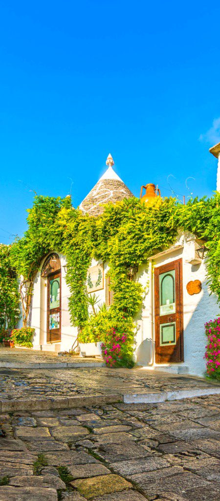 Beautiful Nature image