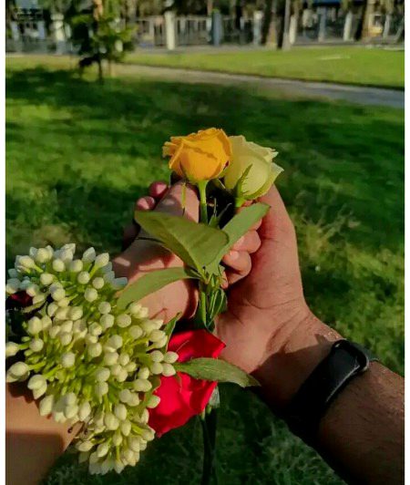 Beautiful Nature image