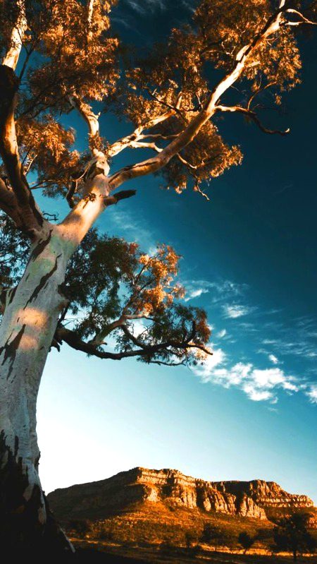 Beautiful Nature image