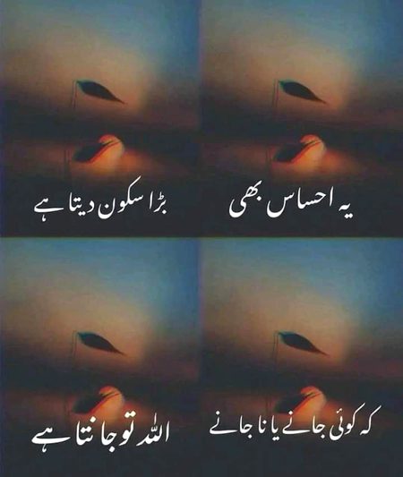 Islamic Quotes image