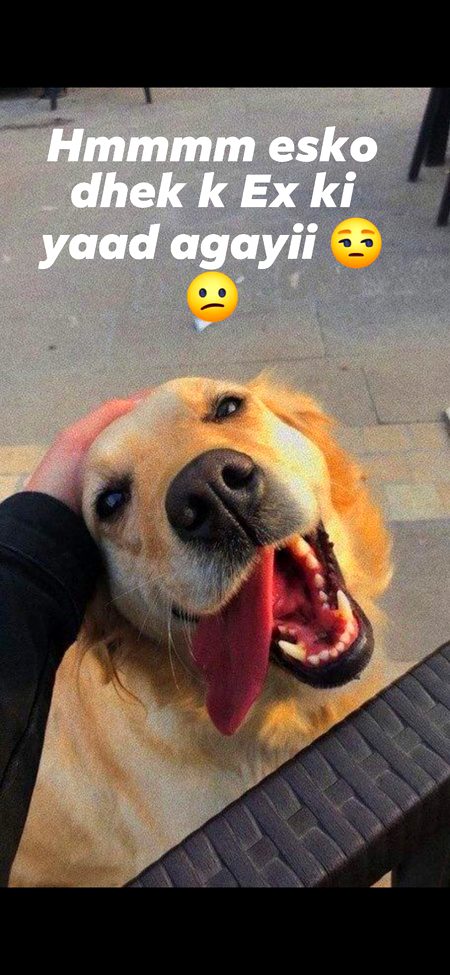 Essko dheek k Meri Ex ki yaad agayi 😔😔