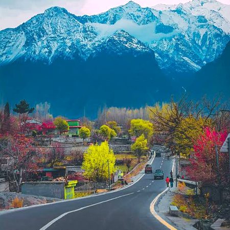 Beautiful Nature image