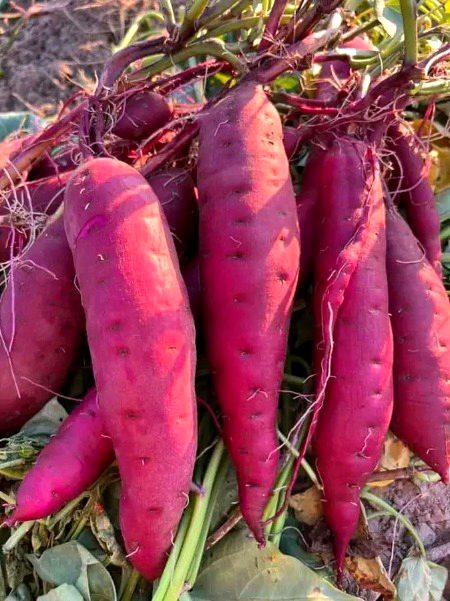 Beautiful Nature image