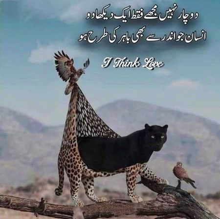 Attitude Quotes image