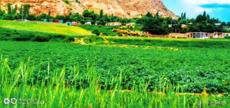 Beautiful Nature image